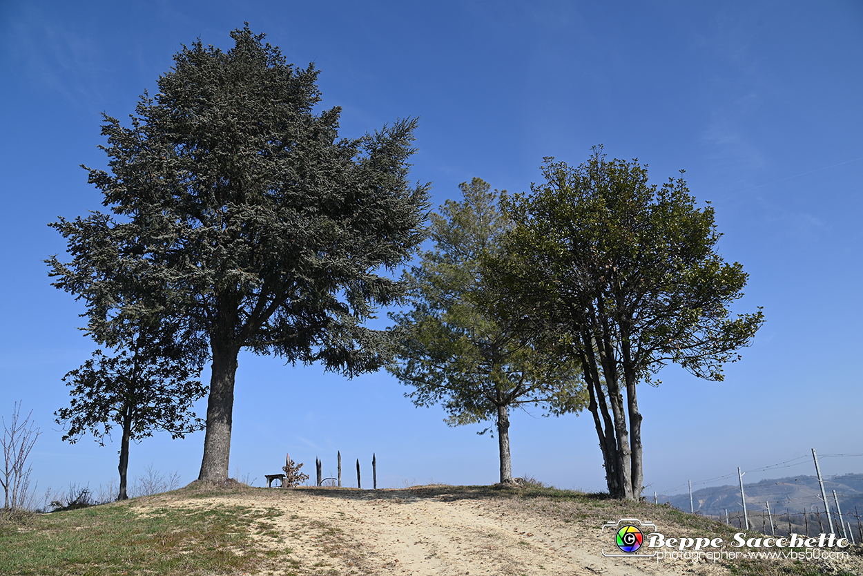 VBS_1118 - Santo Stefano Roero.jpg